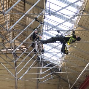 safety netting doncaster 2 scaled